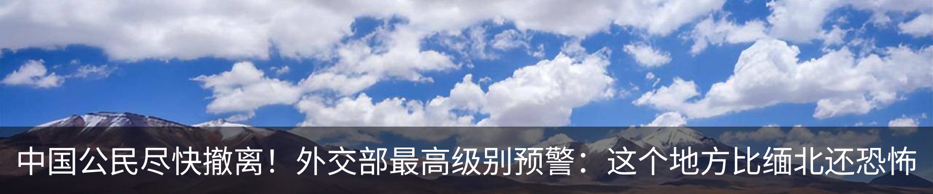 新闻动态