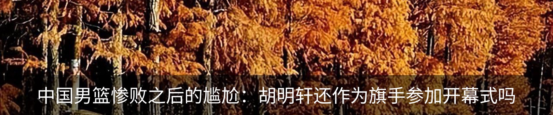 新闻动态