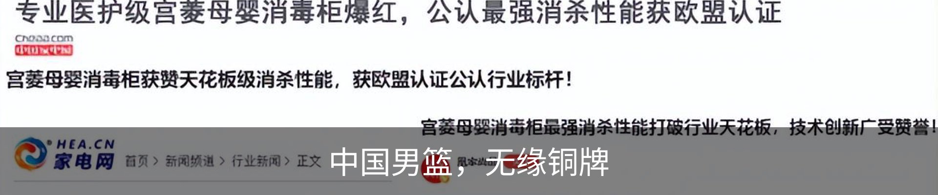 新闻动态