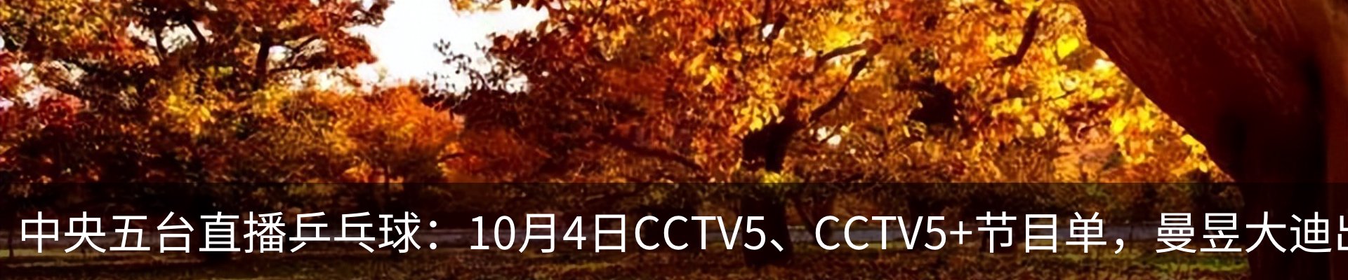 新闻动态