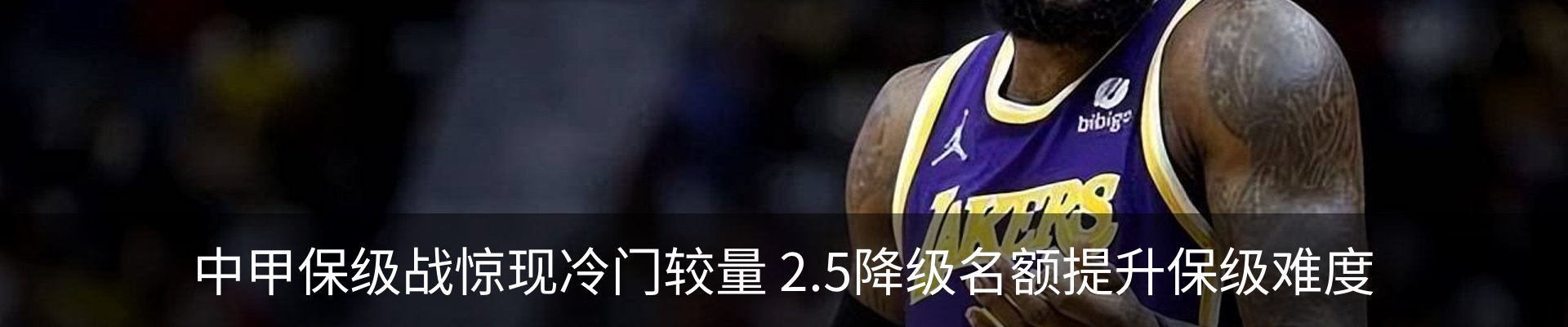 新闻动态
