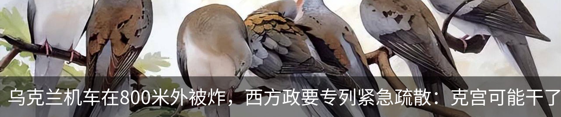 新闻动态