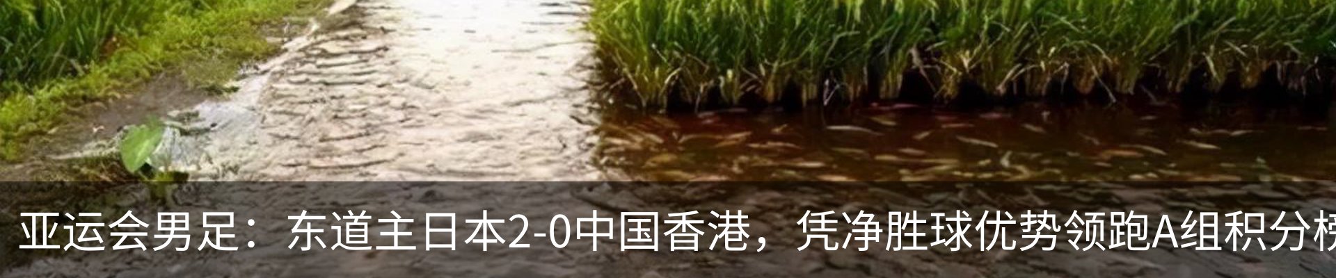 新闻动态