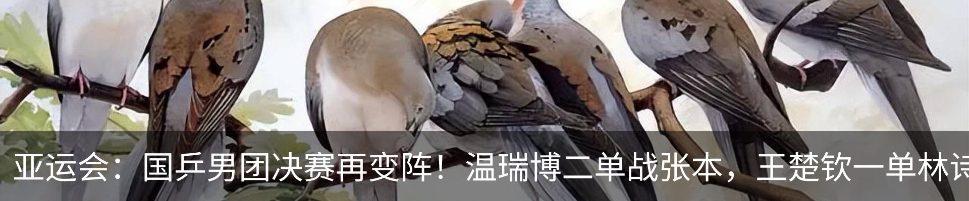 新闻动态
