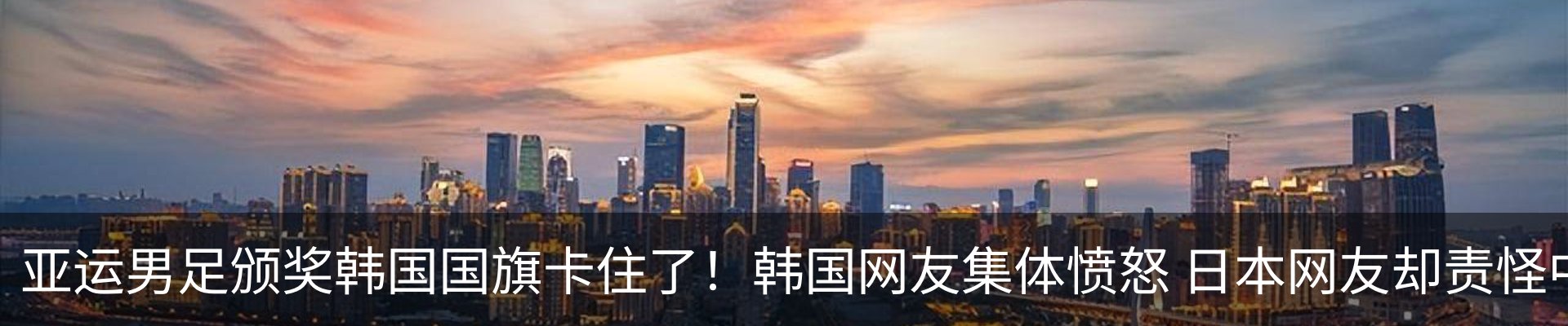 新闻动态