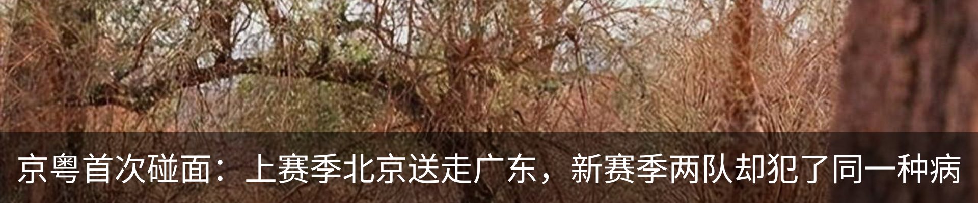 新闻动态