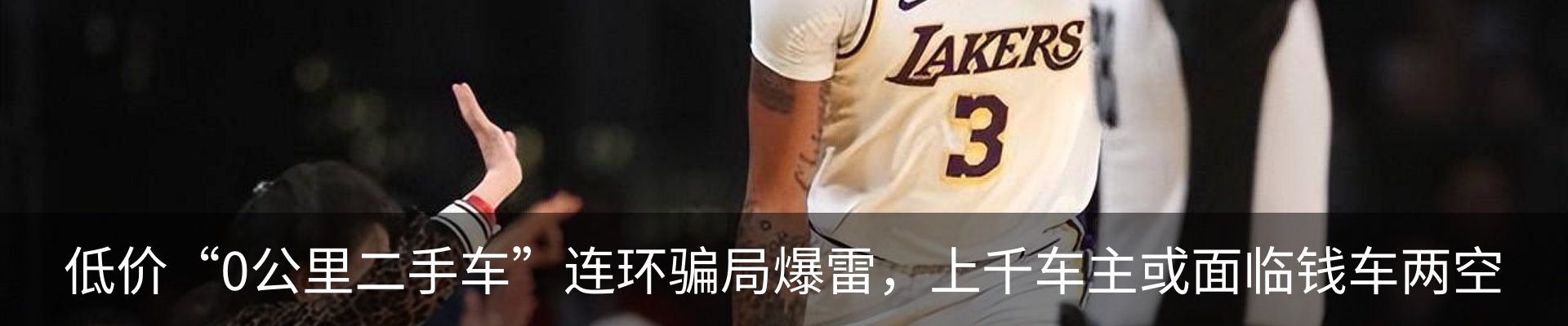 新闻动态