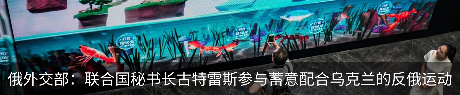 新闻动态