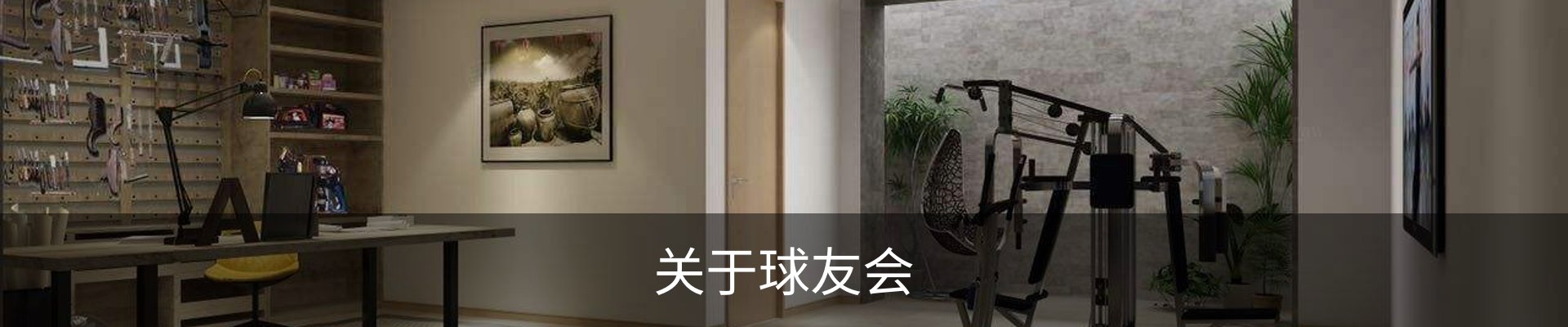关于球友会