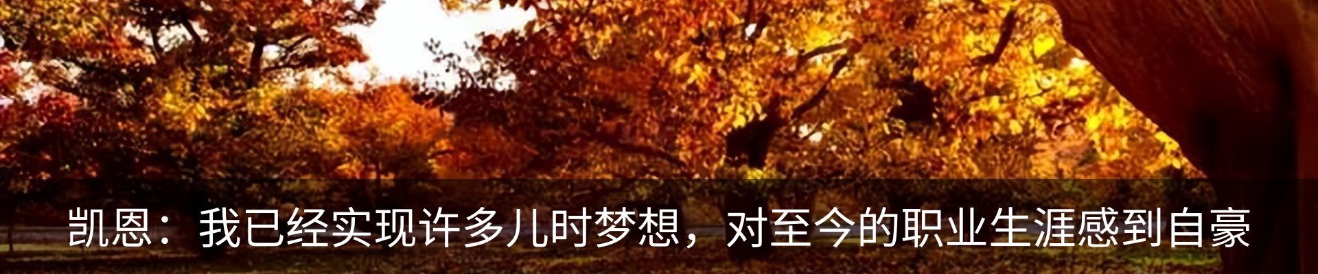 新闻动态