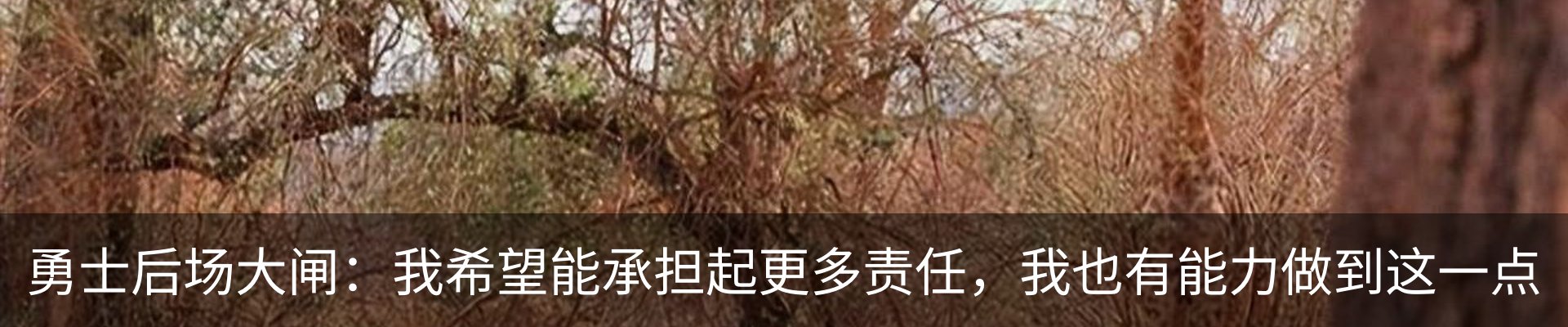 新闻动态