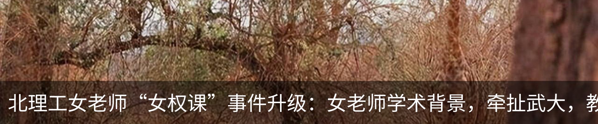 新闻动态