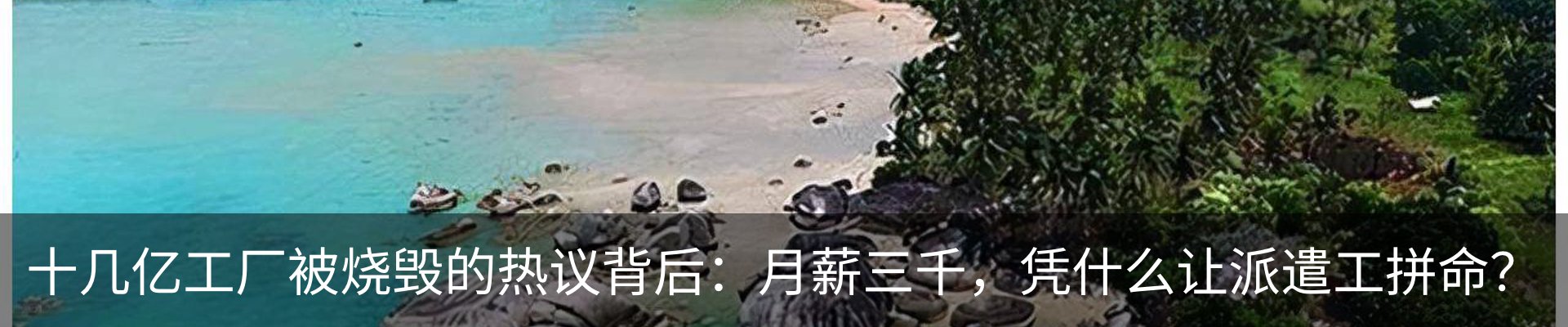 新闻动态