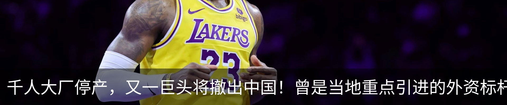 新闻动态