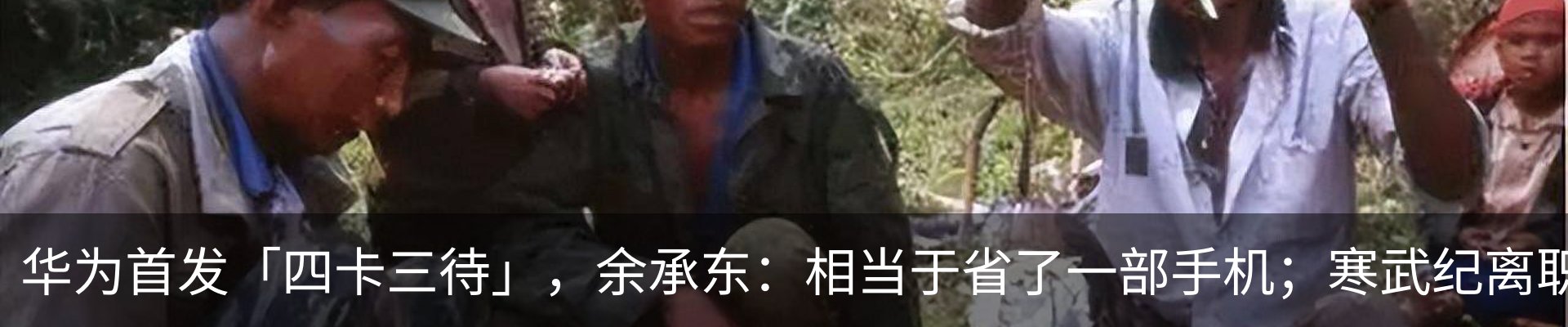 新闻动态