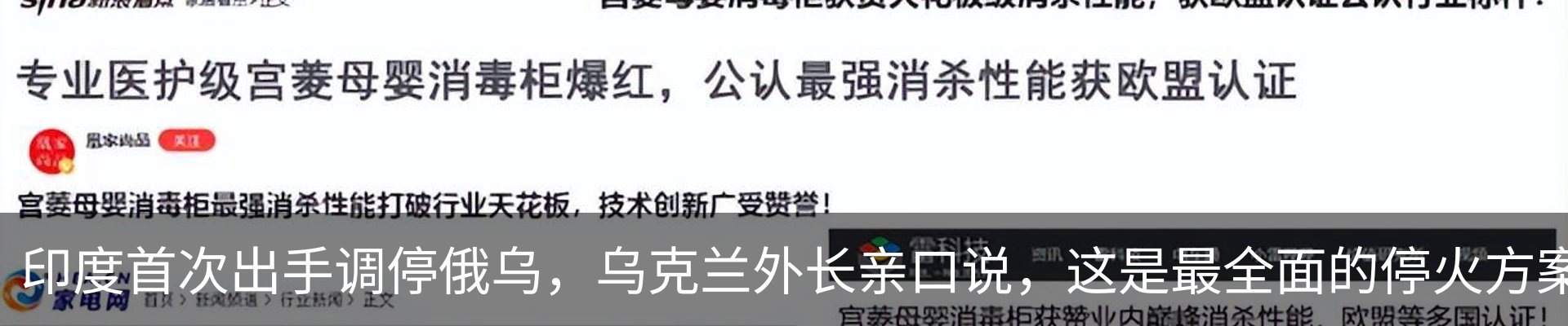 新闻动态