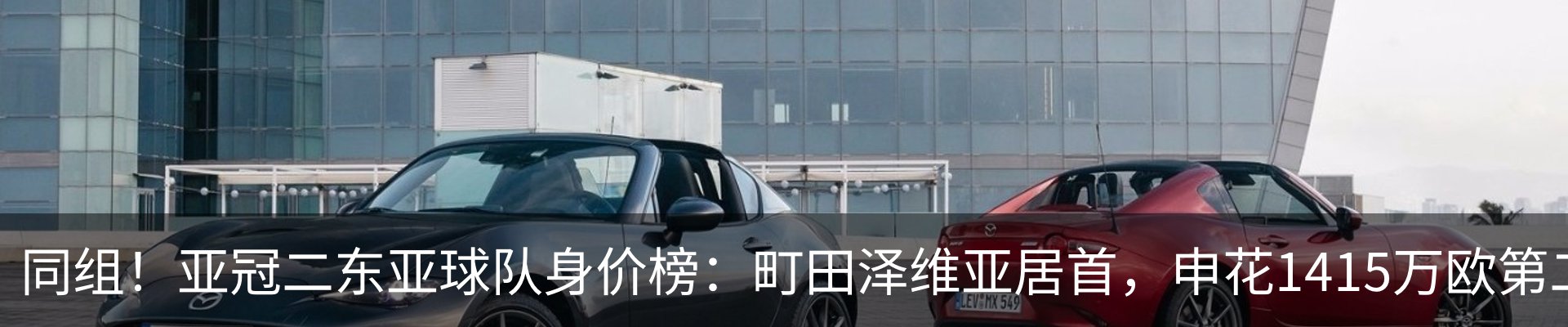 新闻动态