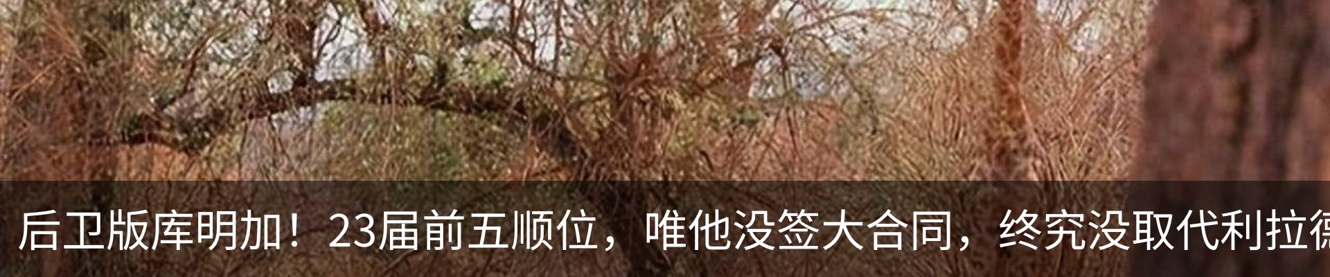新闻动态