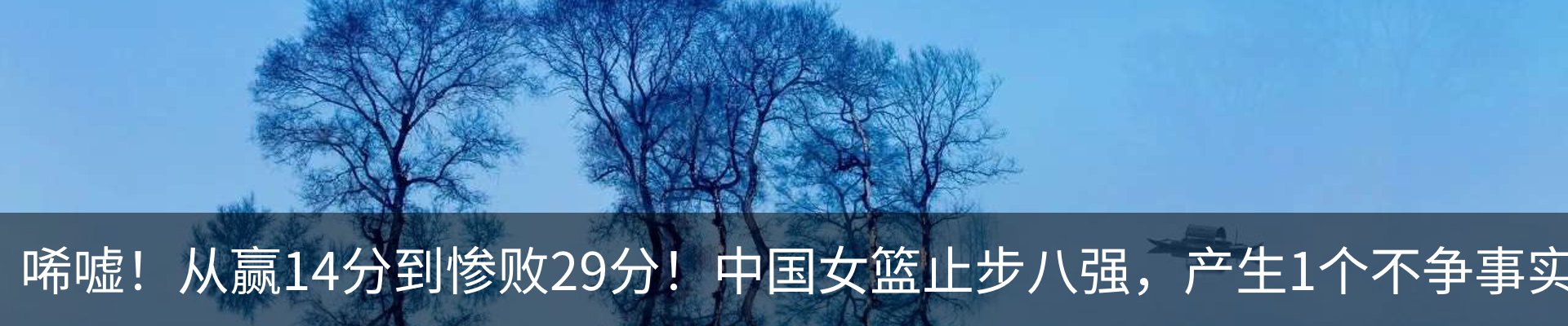 新闻动态