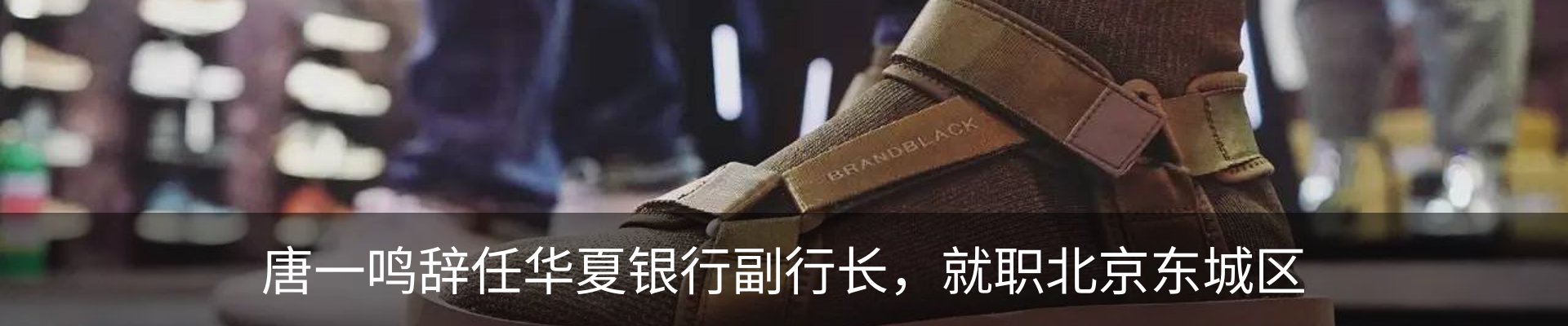 新闻动态