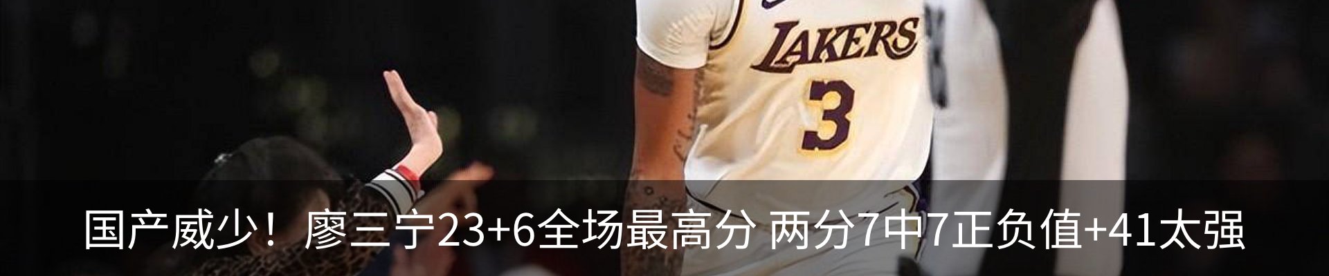 新闻动态