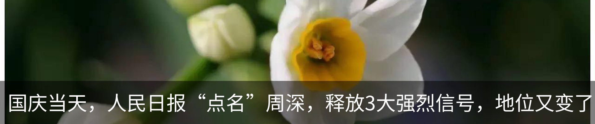 新闻动态