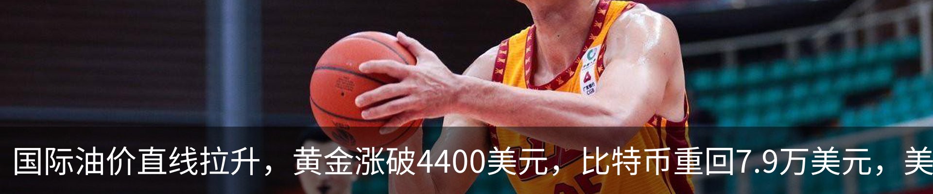 新闻动态