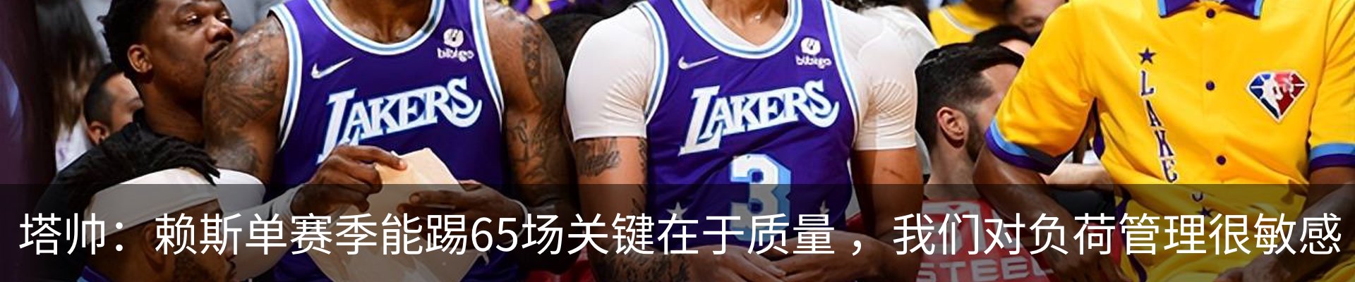 新闻动态