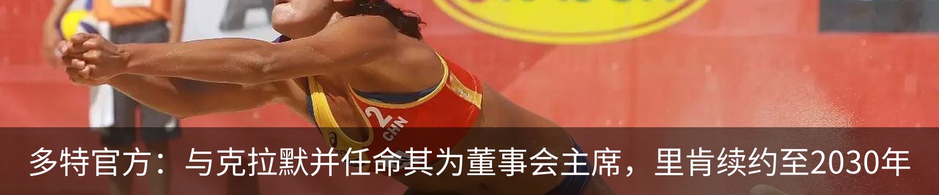 新闻动态