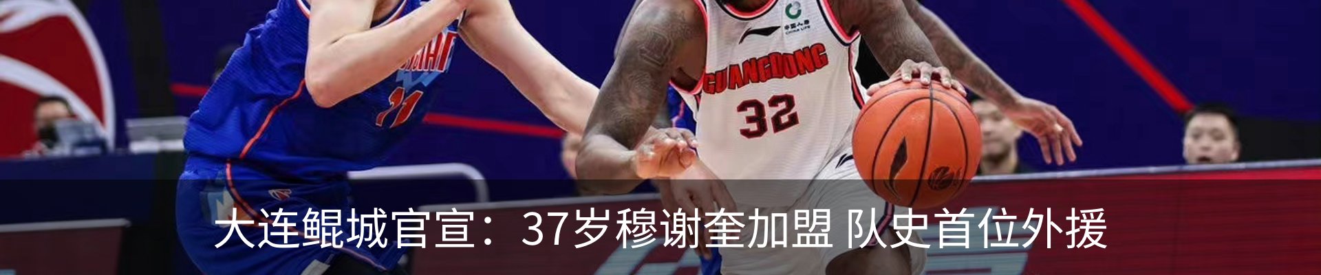 新闻动态