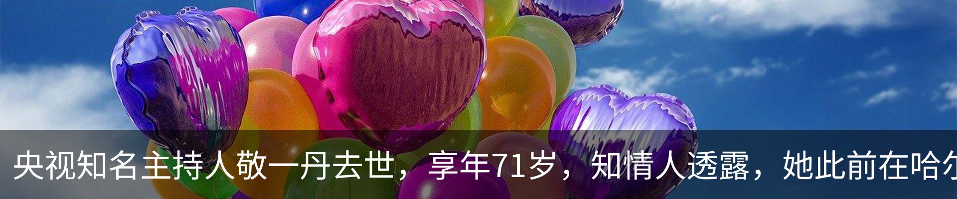 新闻动态