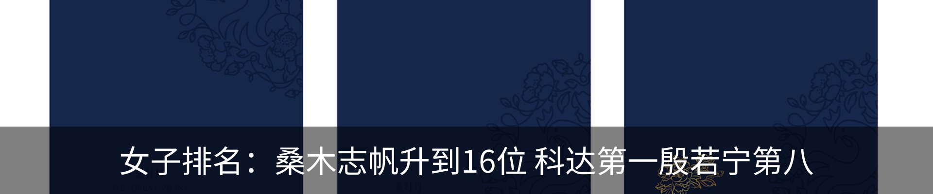 新闻动态