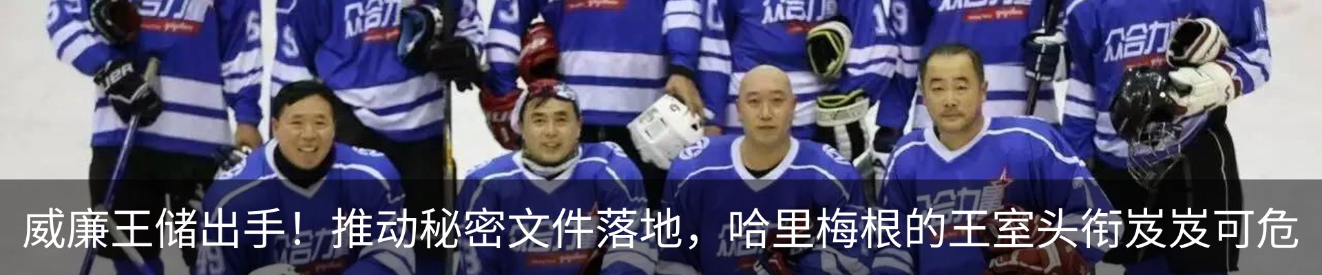 新闻动态