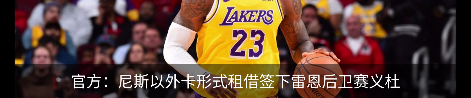 新闻动态