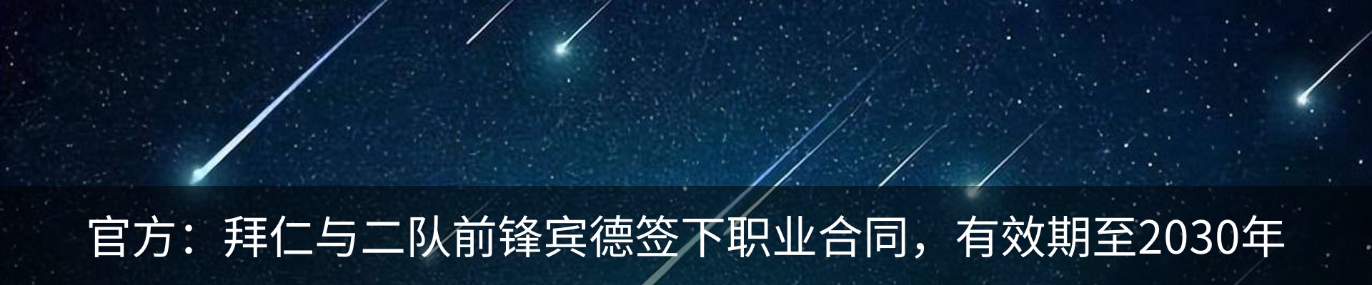 新闻动态