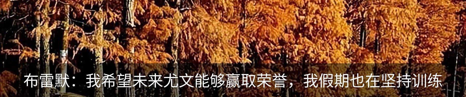 新闻动态