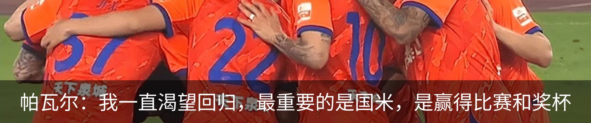 新闻动态