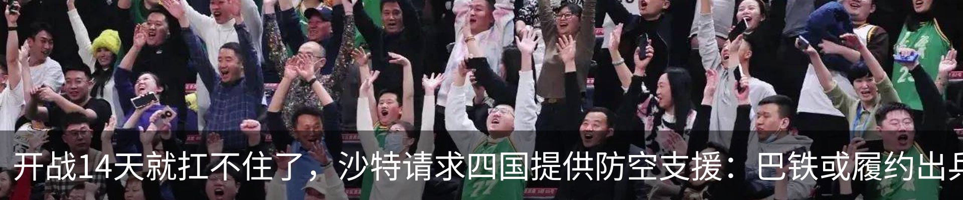 新闻动态