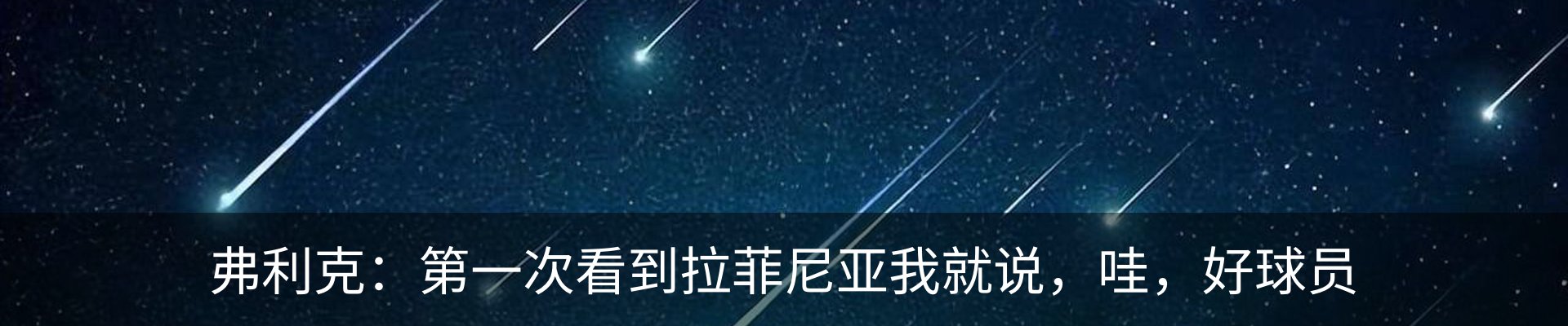 新闻动态