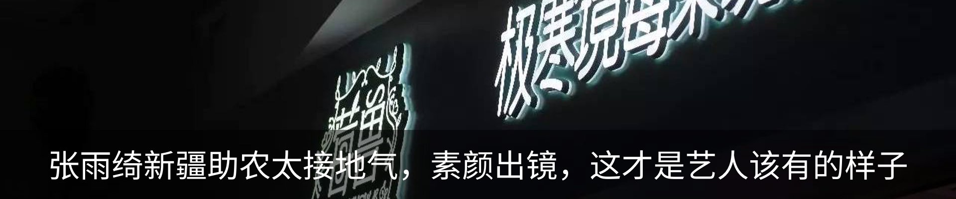 新闻动态