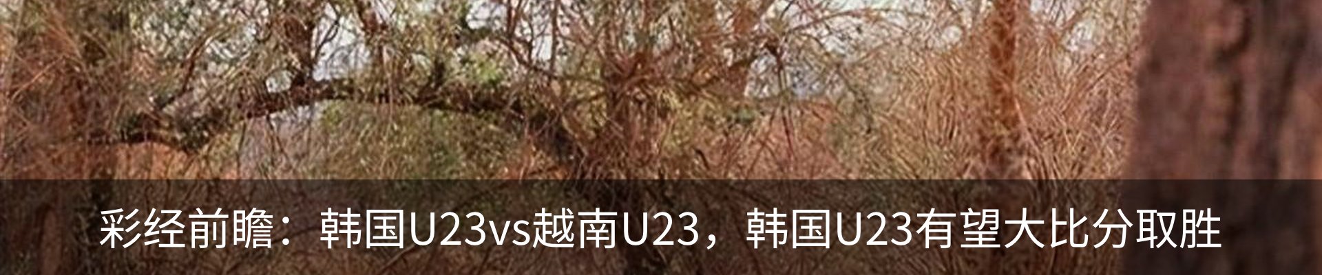 新闻动态