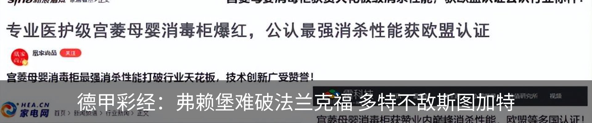 新闻动态
