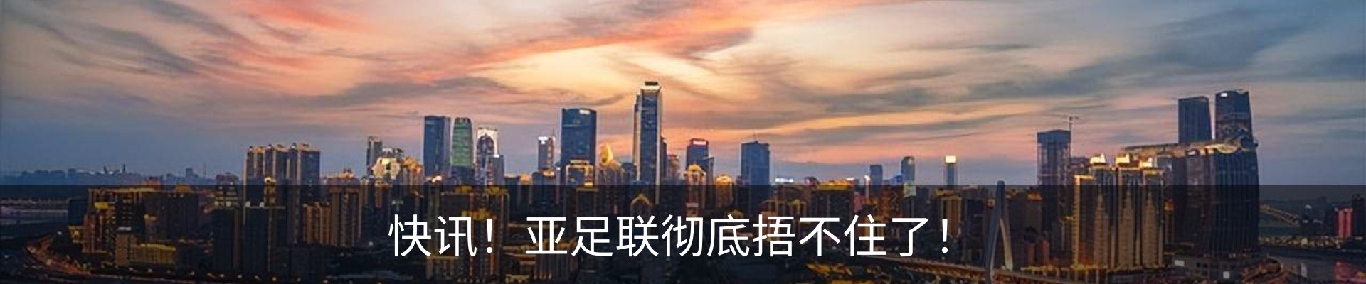 新闻动态