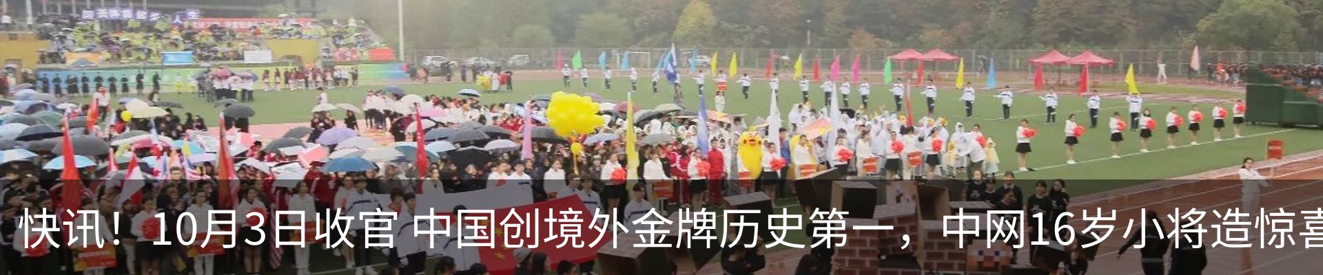 新闻动态