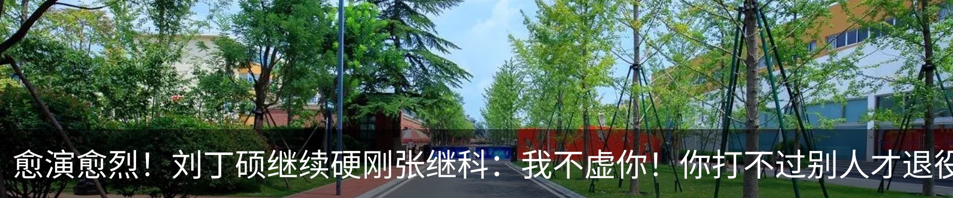 新闻动态