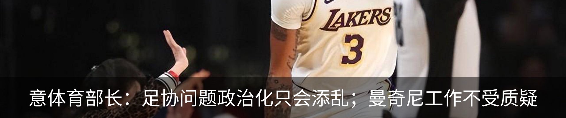 新闻动态