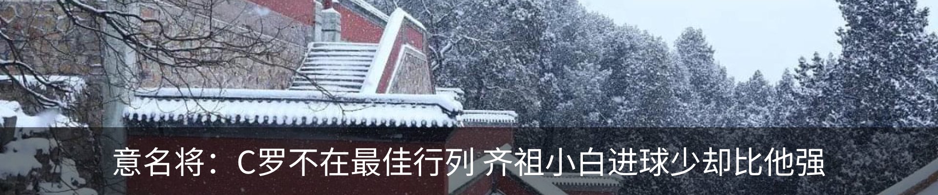 新闻动态