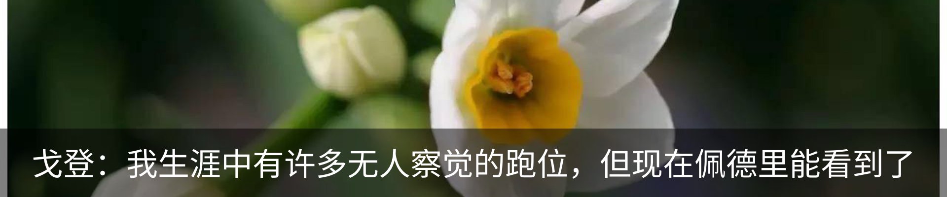 新闻动态
