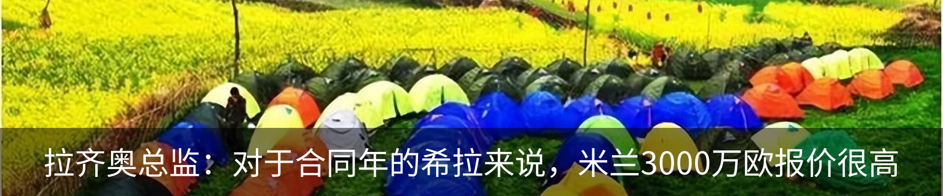 新闻动态