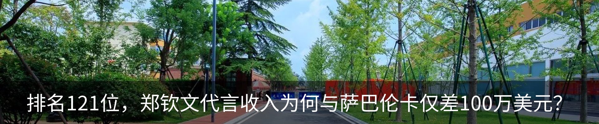 新闻动态